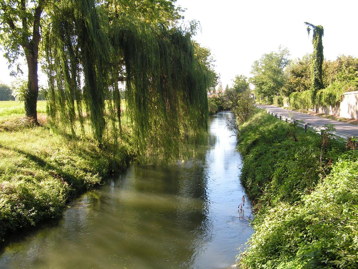 Agriturismo Le Risaie باسيغليو المظهر الخارجي الصورة