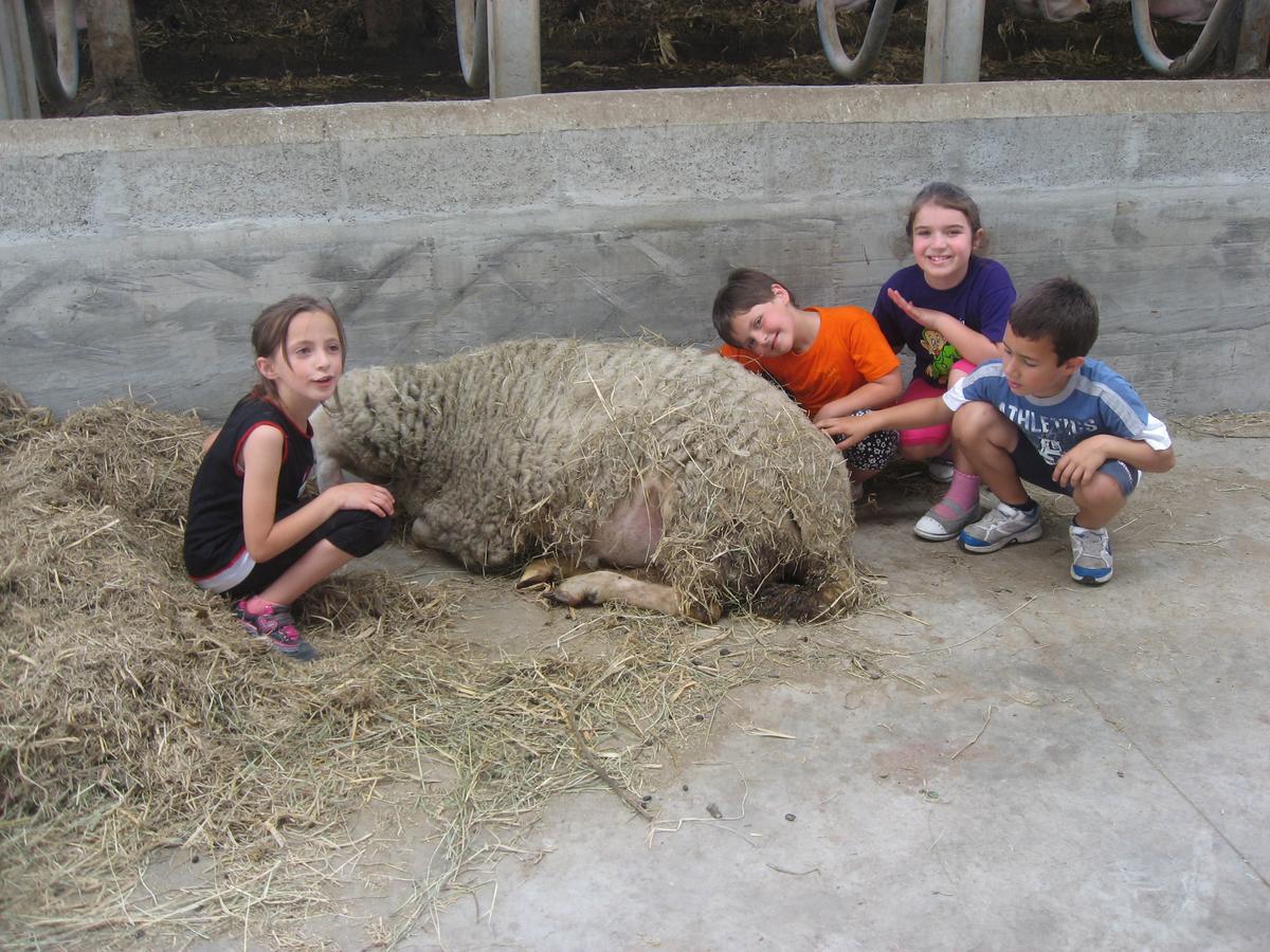 Agriturismo Le Risaie باسيغليو المظهر الخارجي الصورة