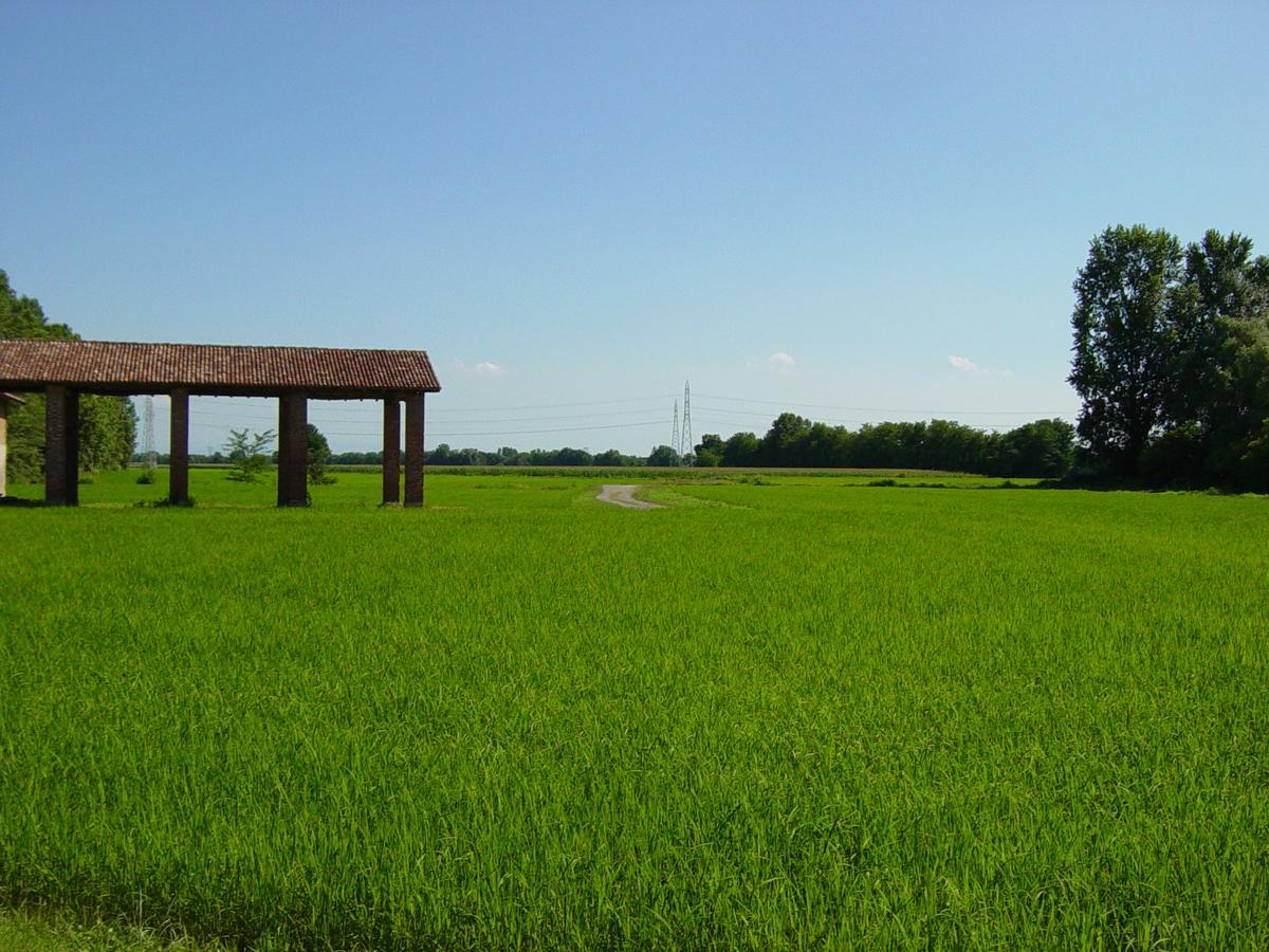 Agriturismo Le Risaie باسيغليو المظهر الخارجي الصورة