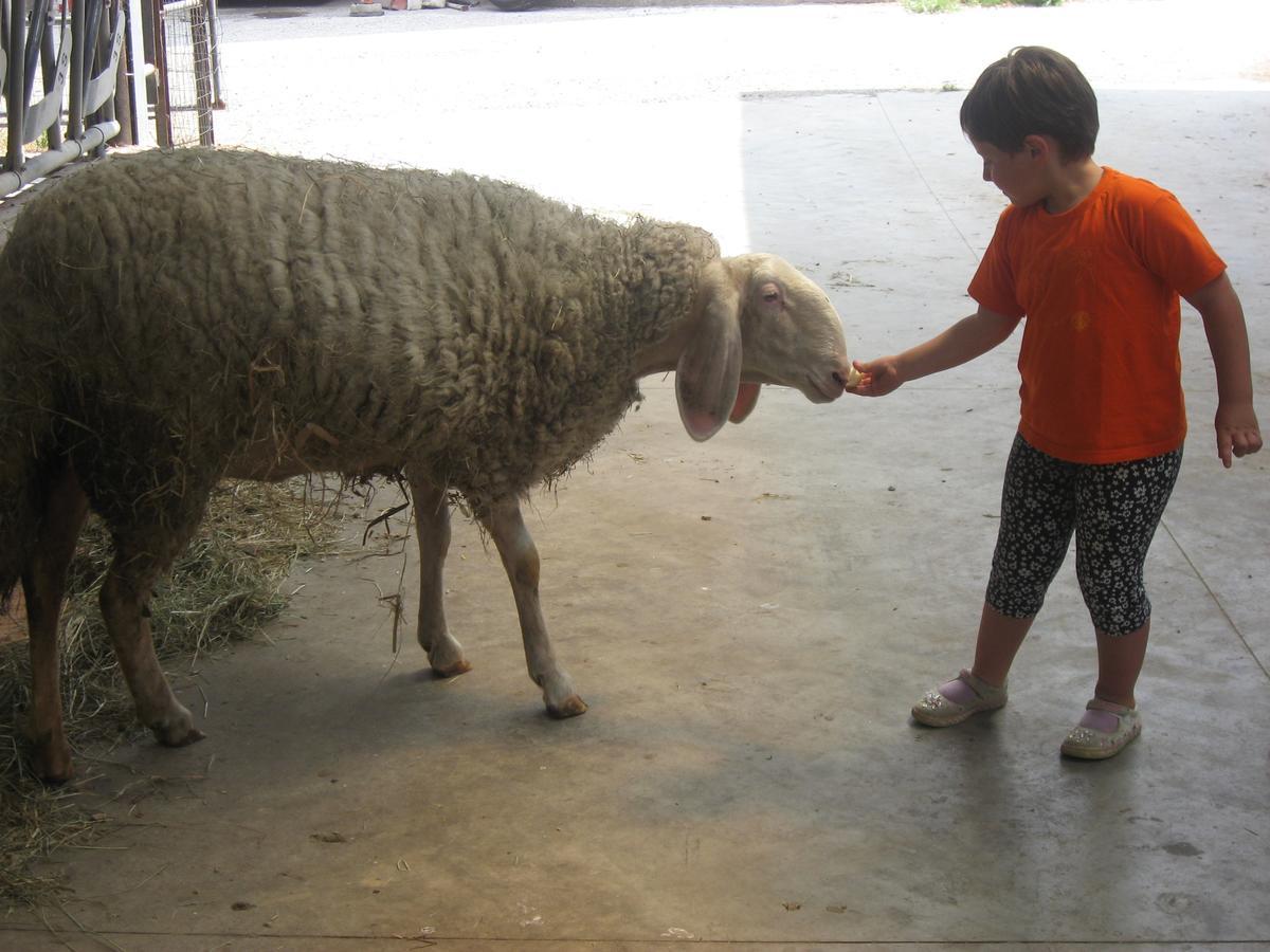 Agriturismo Le Risaie باسيغليو المظهر الخارجي الصورة